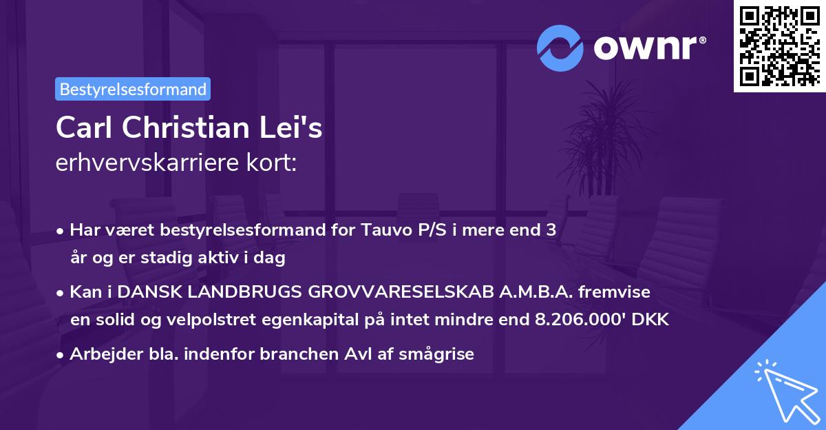 Carl Christian Lei's erhvervskarriere kort