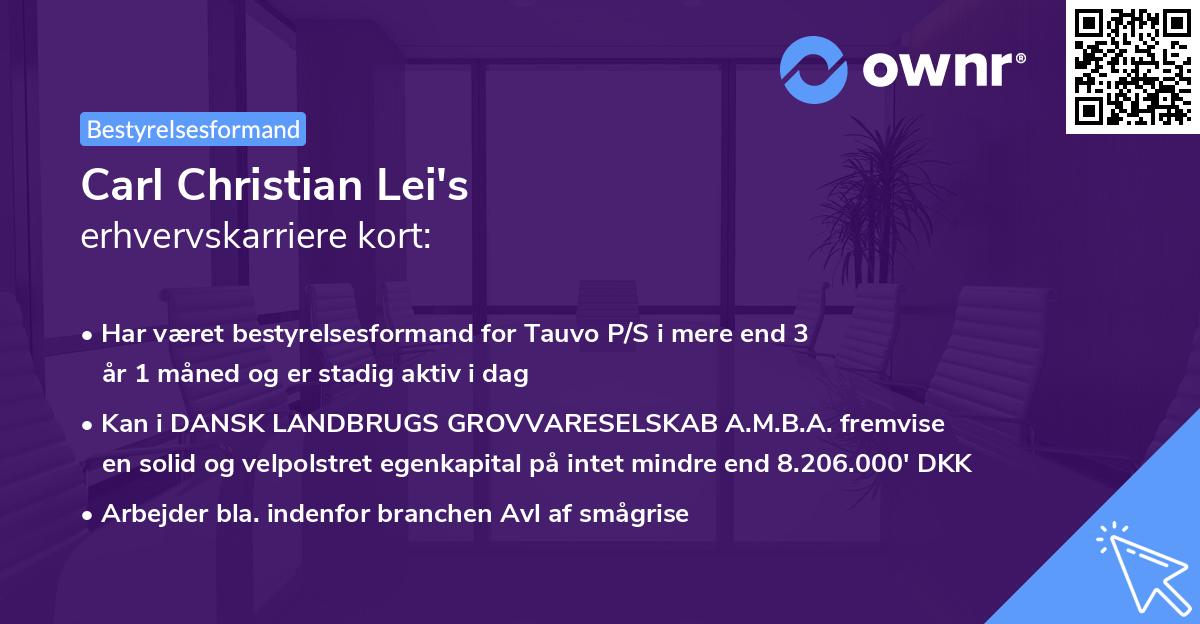 Carl Christian Lei's erhvervskarriere kort