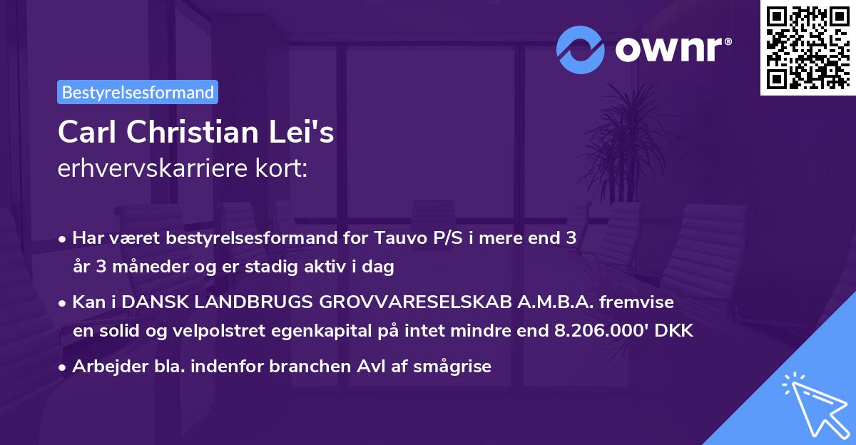 Carl Christian Lei's erhvervskarriere kort