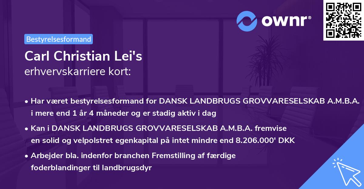 Carl Christian Lei's erhvervskarriere kort