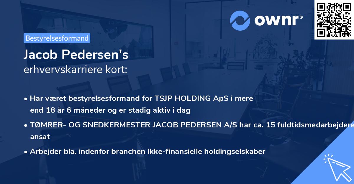 Jacob Pedersen's erhvervskarriere kort
