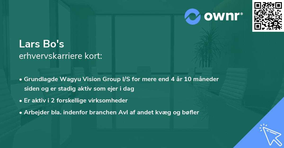Lars Bo's erhvervskarriere kort