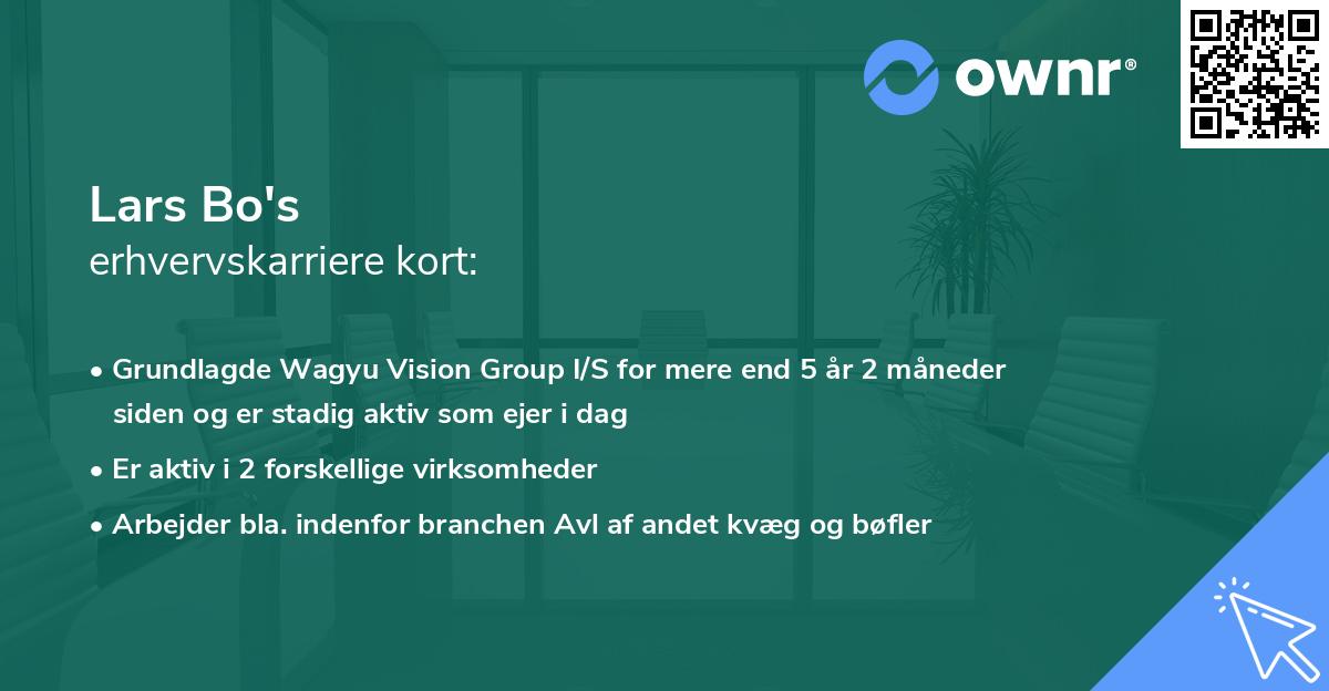 Lars Bo's erhvervskarriere kort