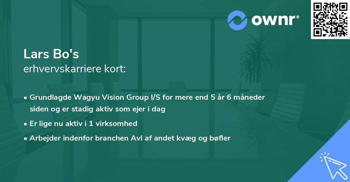 Lars Bo's erhvervskarriere kort
