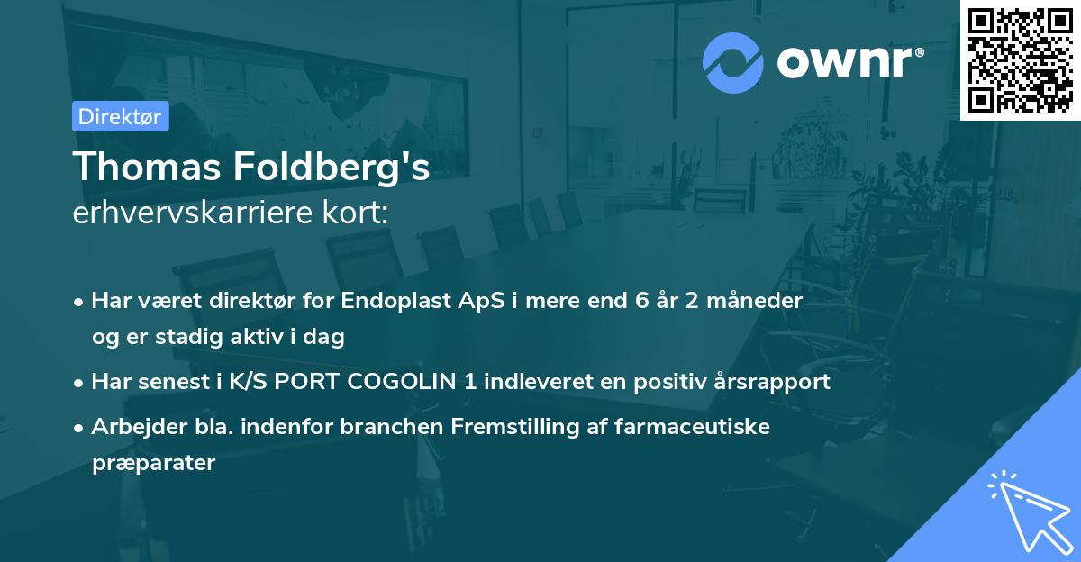 Thomas Foldberg's erhvervskarriere kort