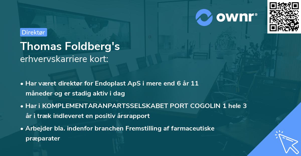 Thomas Foldberg's erhvervskarriere kort