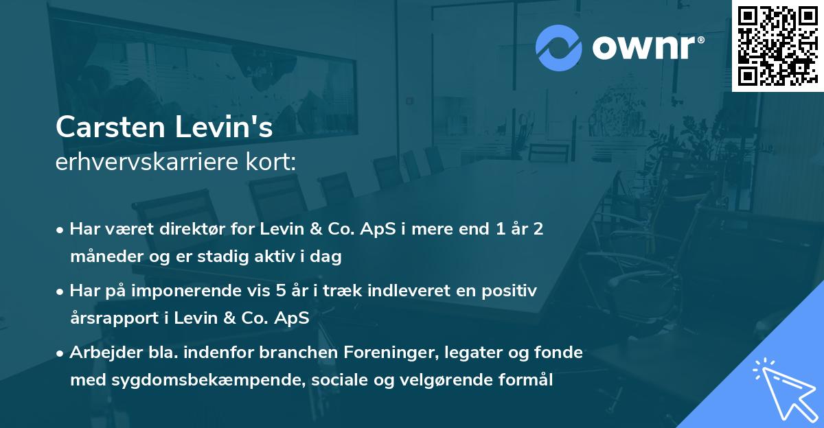 Carsten Levin's erhvervskarriere kort