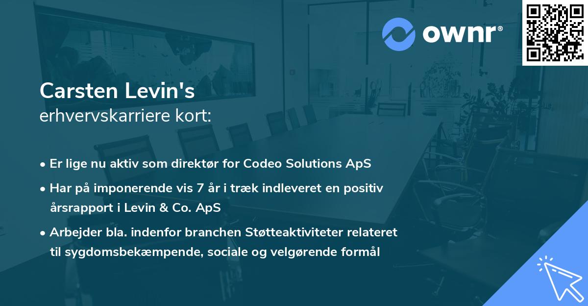 Carsten Levin's erhvervskarriere kort