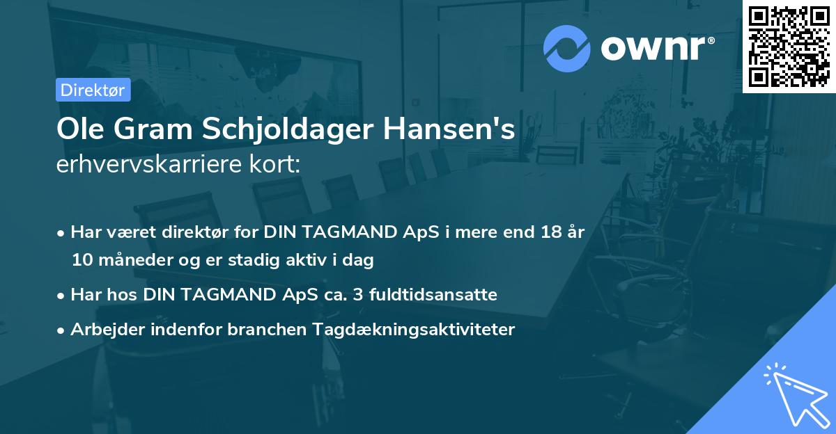 Ole Gram Schjoldager Hansen's erhvervskarriere kort