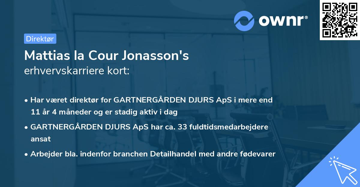 Mattias la Cour Jonasson's erhvervskarriere kort