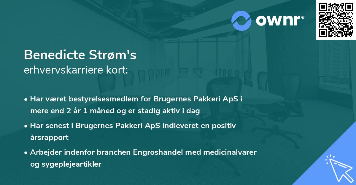 Benedicte Strøm's erhvervskarriere kort