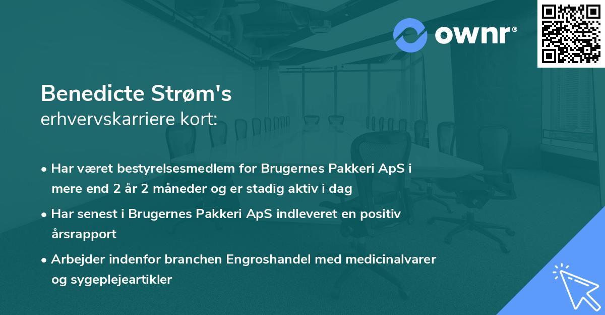 Benedicte Strøm's erhvervskarriere kort