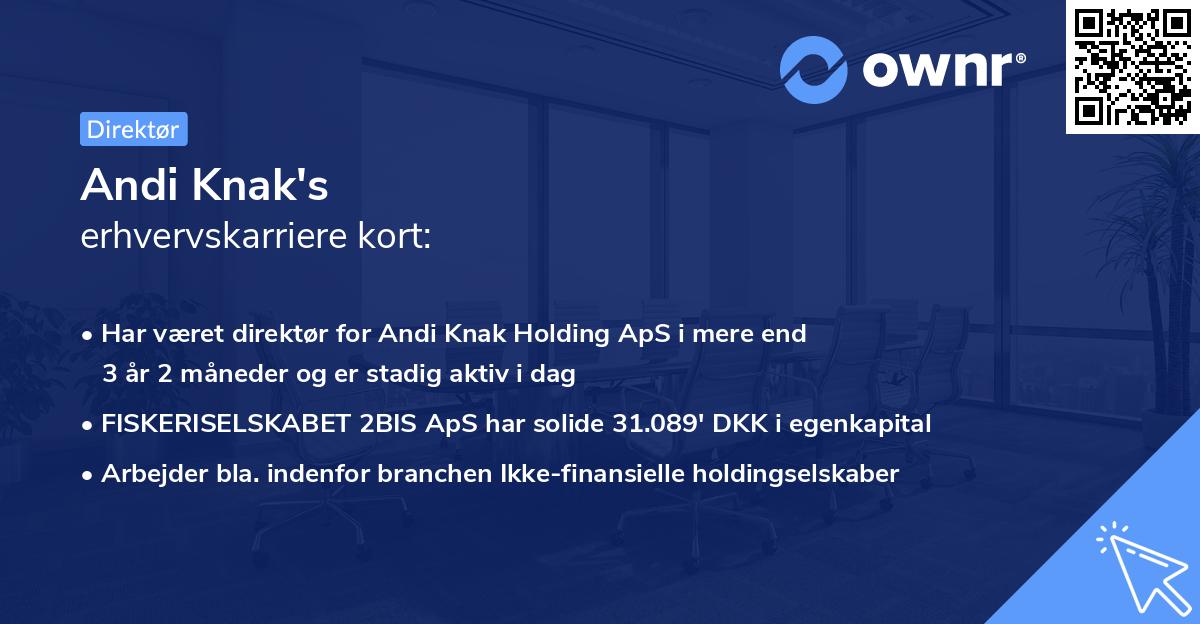 Andi Knak's erhvervskarriere kort