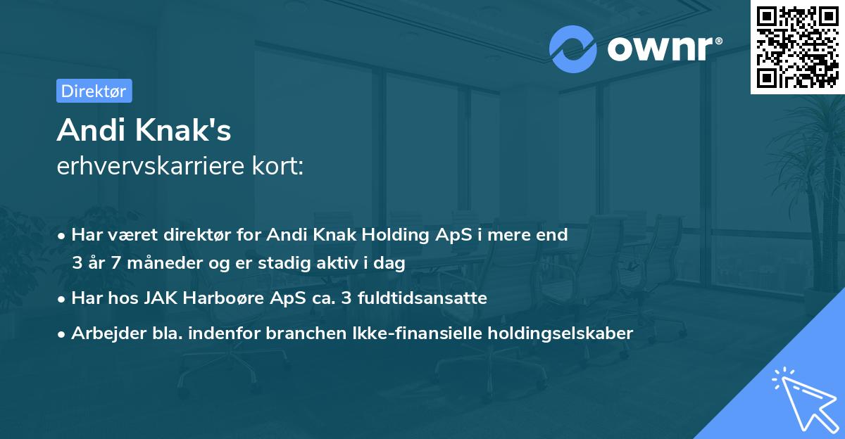 Andi Knak's erhvervskarriere kort