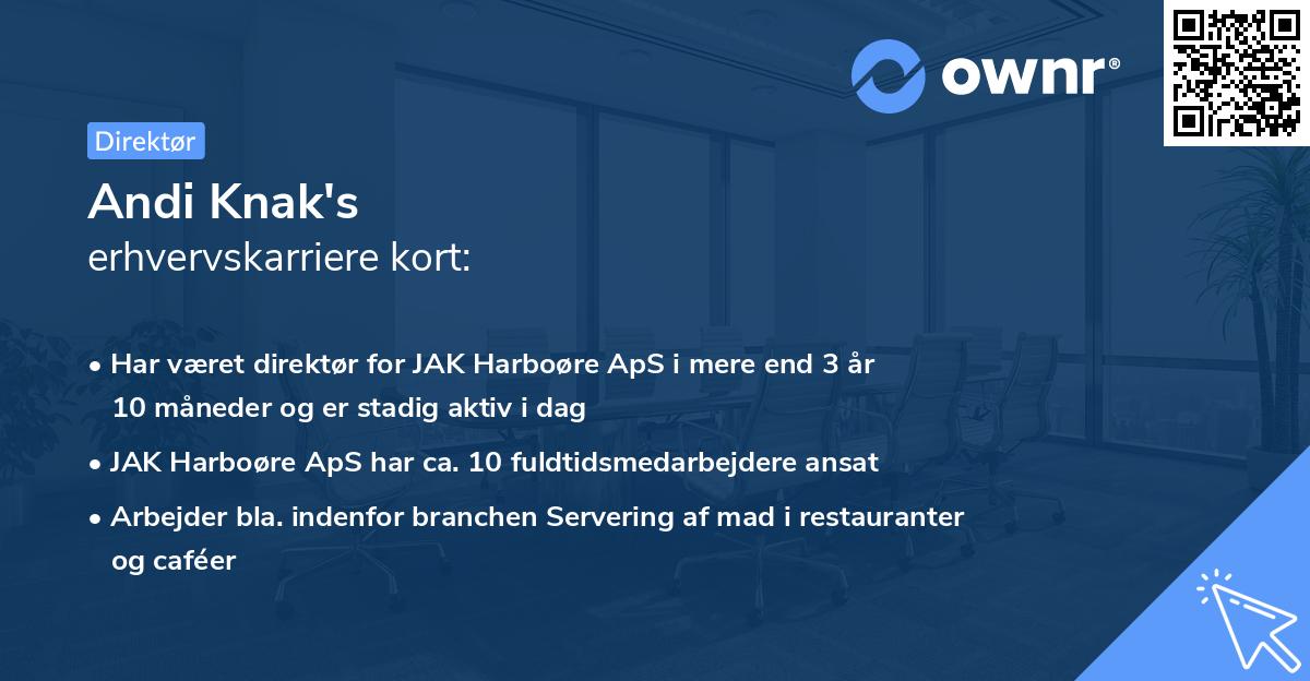 Andi Knak's erhvervskarriere kort