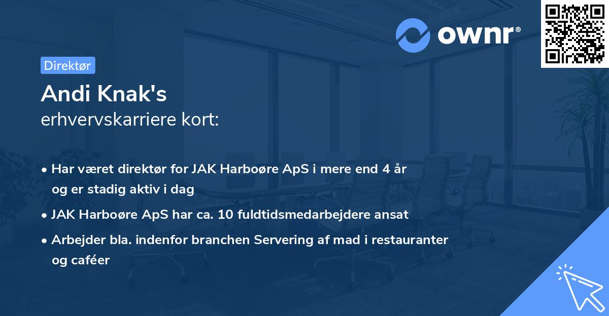 Andi Knak's erhvervskarriere kort