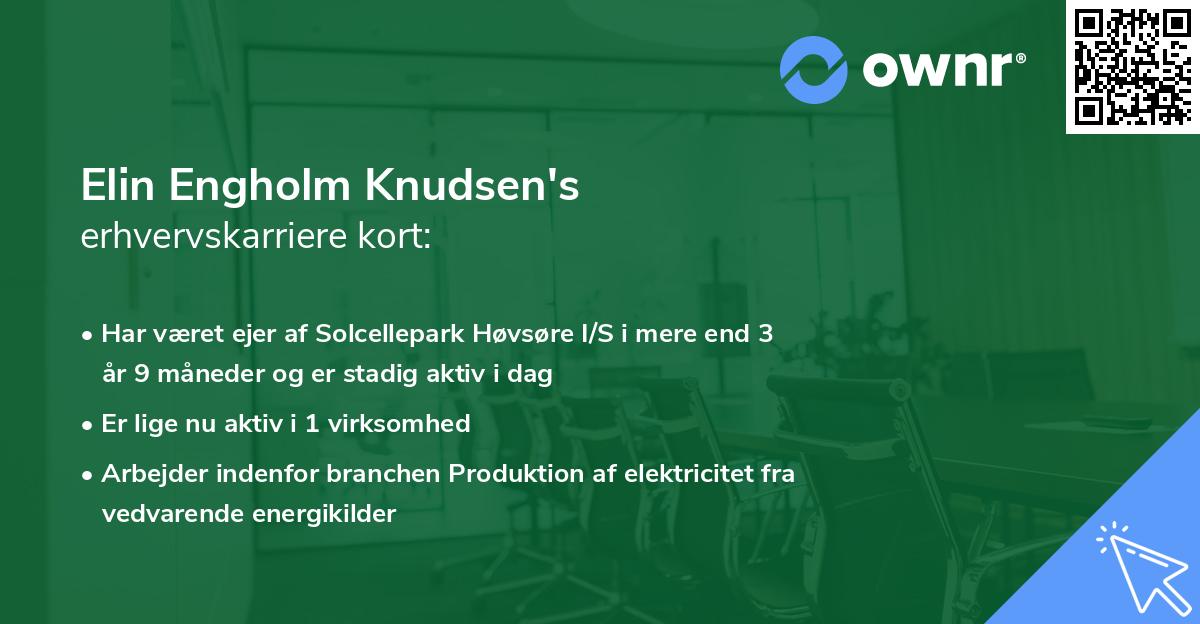 Elin Engholm Knudsen's erhvervskarriere kort