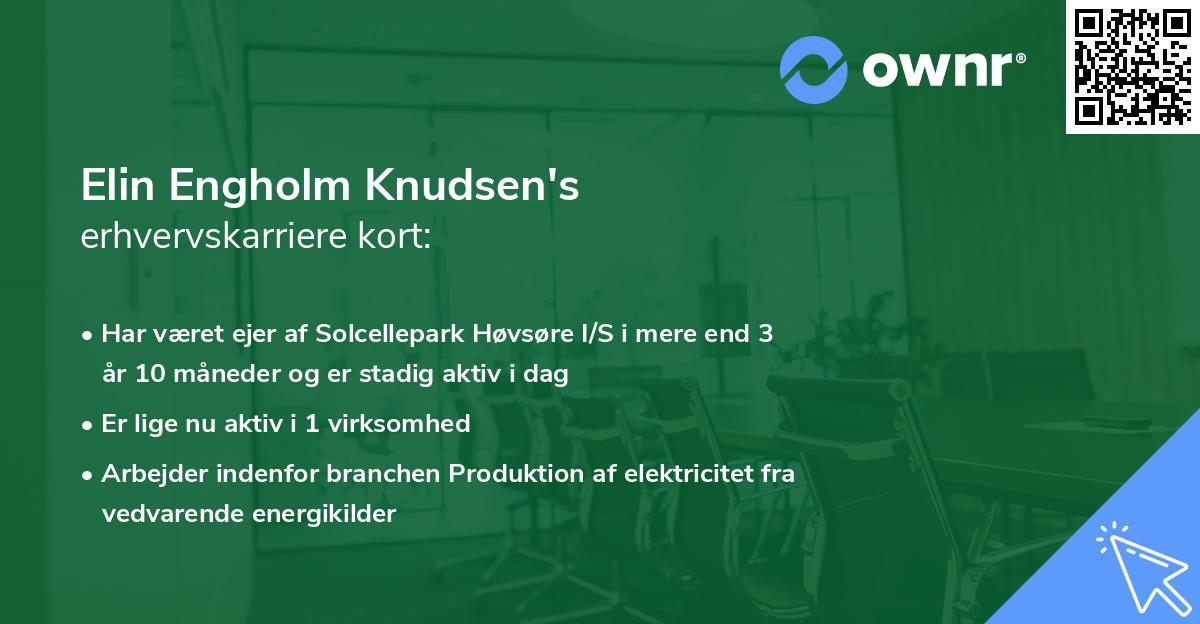 Elin Engholm Knudsen's erhvervskarriere kort