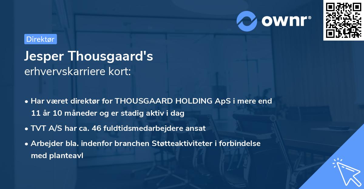 Jesper Thousgaard's erhvervskarriere kort