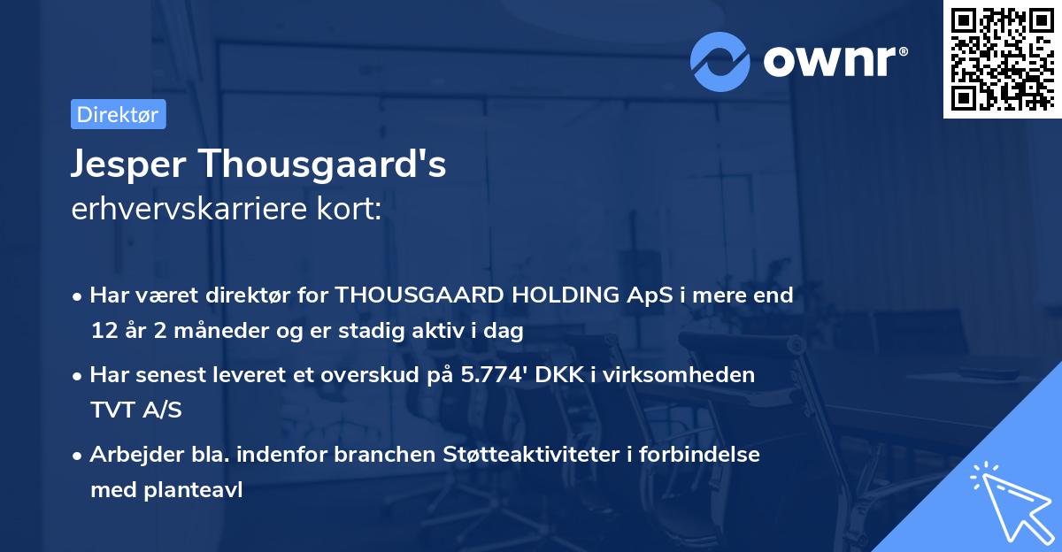 Jesper Thousgaard's erhvervskarriere kort
