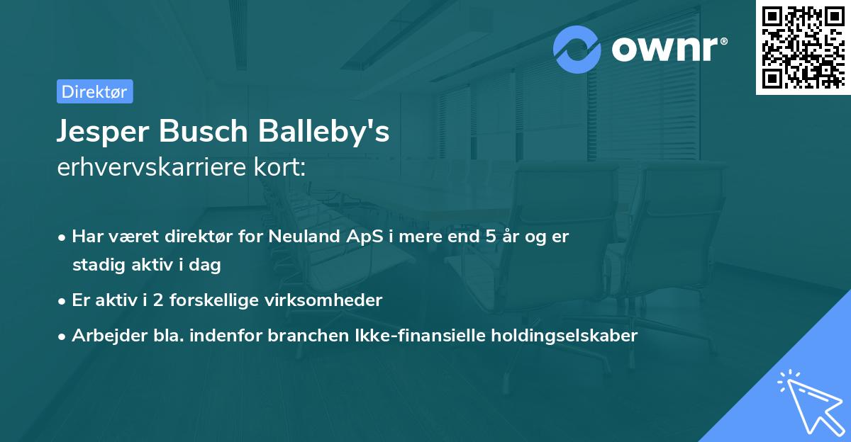 Jesper Busch Balleby's erhvervskarriere kort