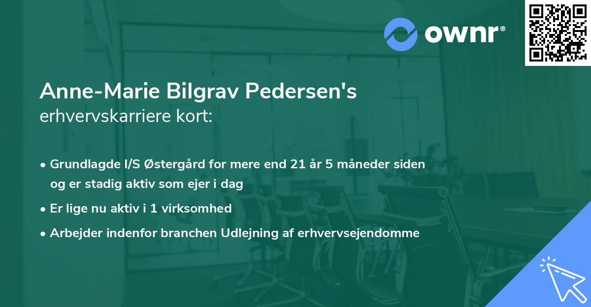 Anne-Marie Bilgrav Pedersen's erhvervskarriere kort