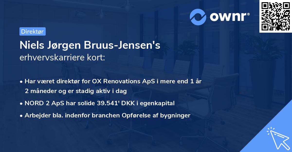 Niels Jørgen Bruus-Jensen's erhvervskarriere kort