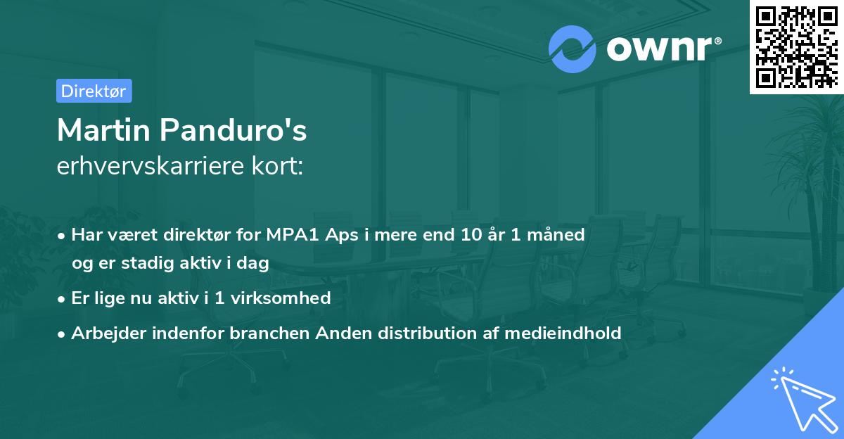 Martin Panduro's erhvervskarriere kort