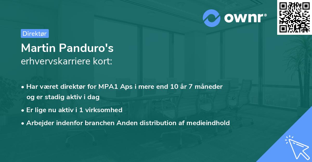 Martin Panduro's erhvervskarriere kort