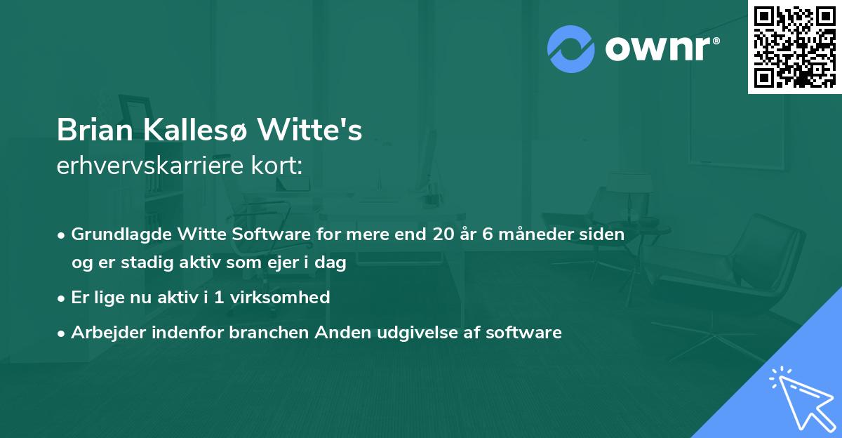 Brian Kallesø Witte's erhvervskarriere kort