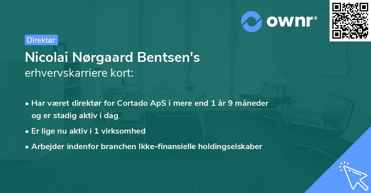 Nicolai Nørgaard Bentsen's erhvervskarriere kort