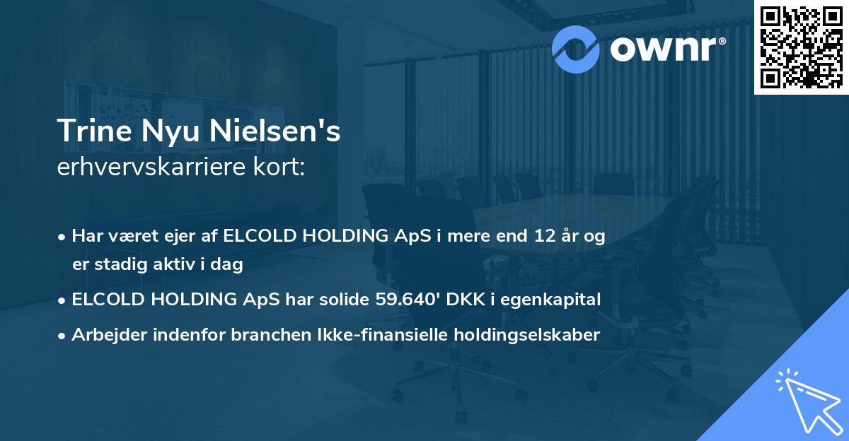 Trine Nyu Nielsen's erhvervskarriere kort