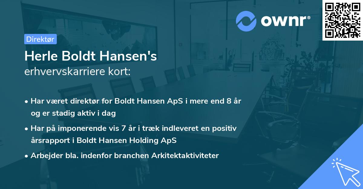 Herle Boldt Hansen's erhvervskarriere kort