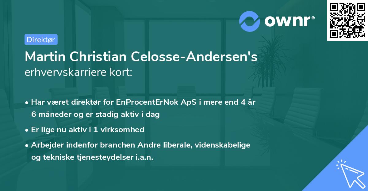 Martin Christian Celosse-Andersen's erhvervskarriere kort
