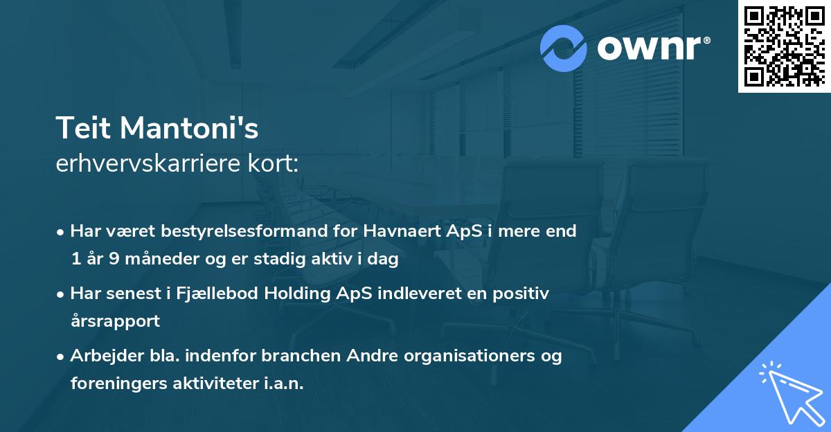 Teit Mantoni's erhvervskarriere kort