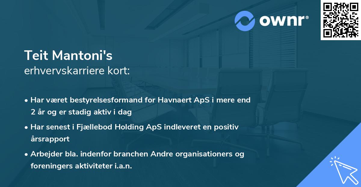 Teit Mantoni's erhvervskarriere kort