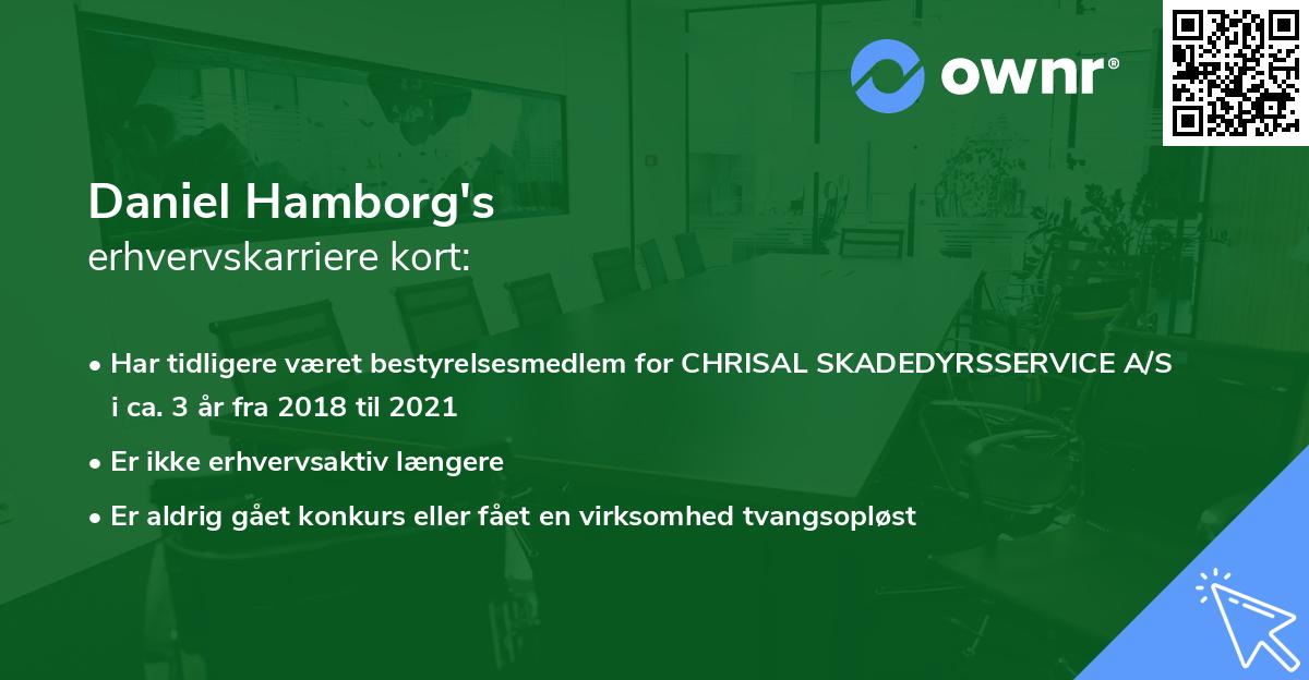 Daniel Hamborg's erhvervskarriere kort