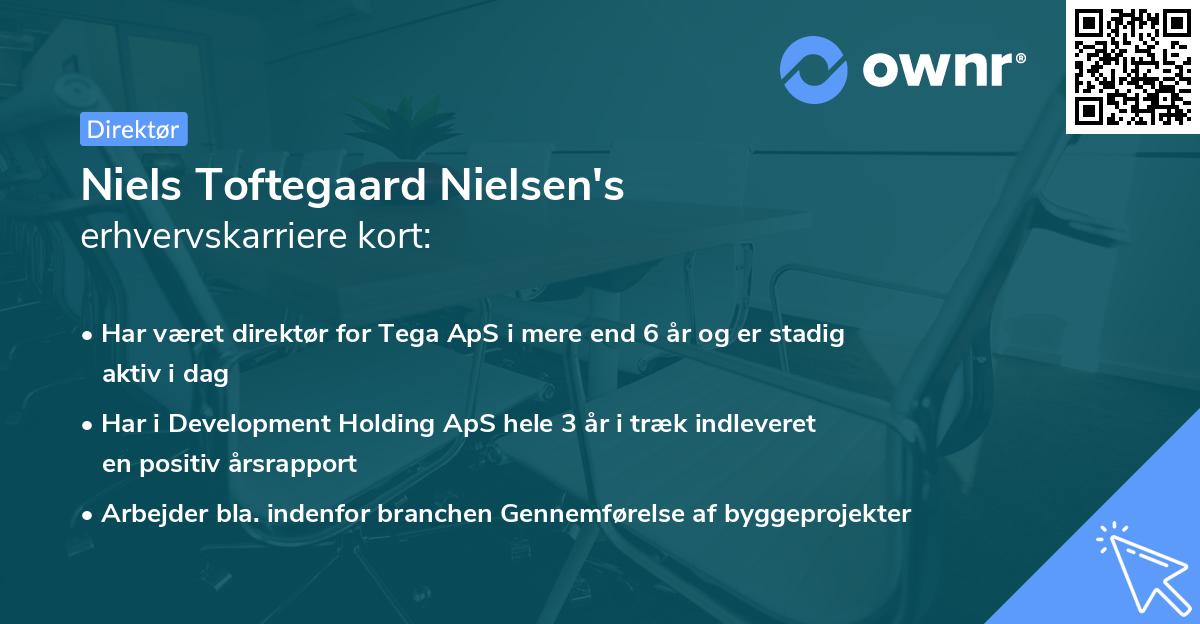 Niels Toftegaard Nielsen's erhvervskarriere kort