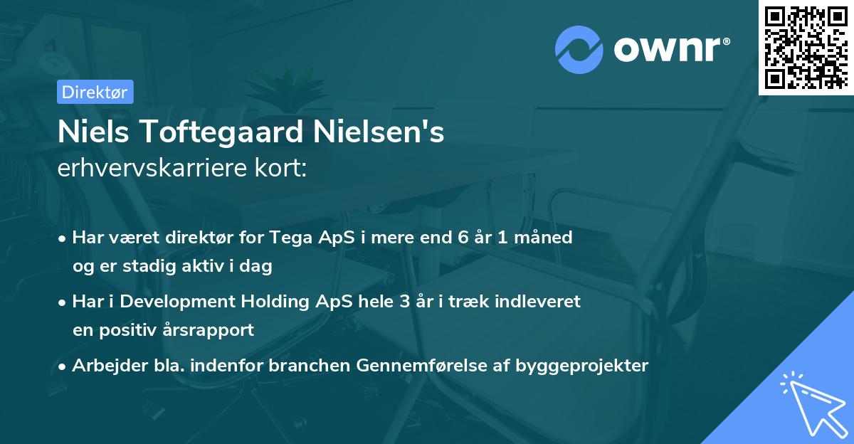 Niels Toftegaard Nielsen's erhvervskarriere kort