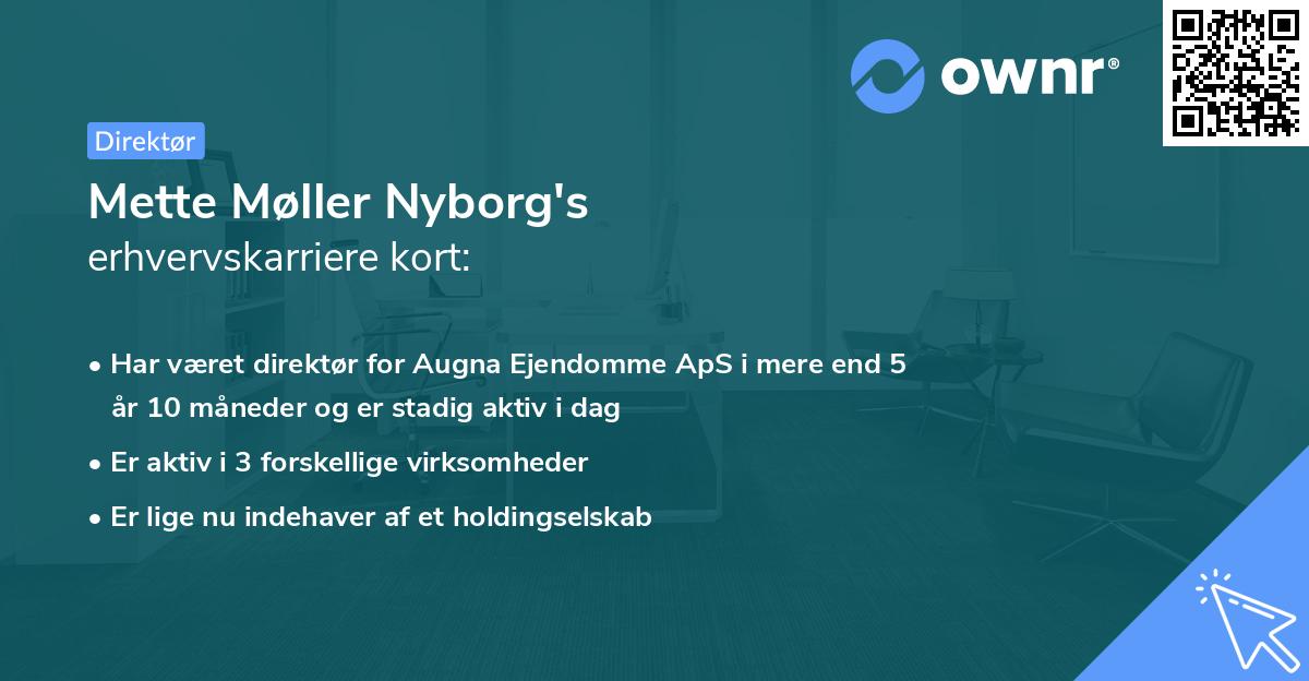 Mette Møller Nyborg's erhvervskarriere kort