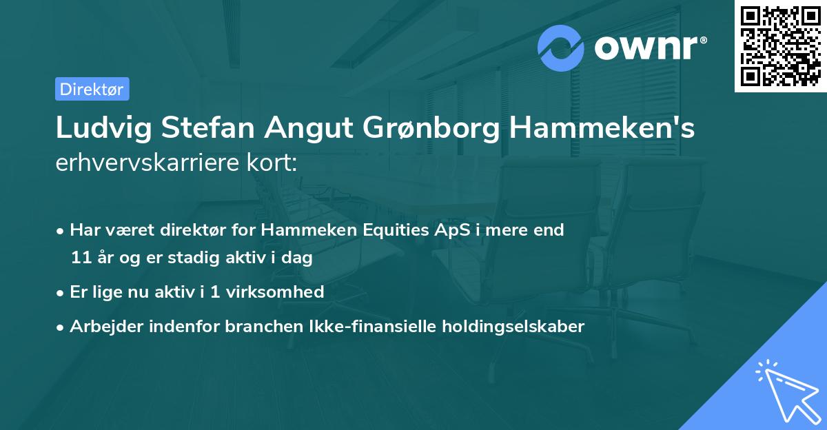 Ludvig Stefan Angut Grønborg Hammeken's erhvervskarriere kort
