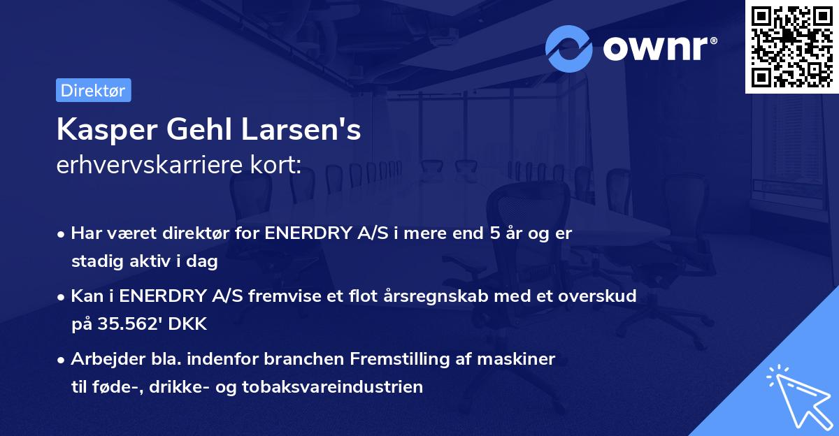 Kasper Gehl Larsen's erhvervskarriere kort