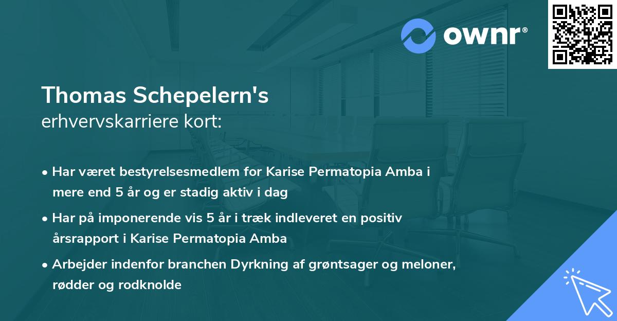 Thomas Schepelern's erhvervskarriere kort