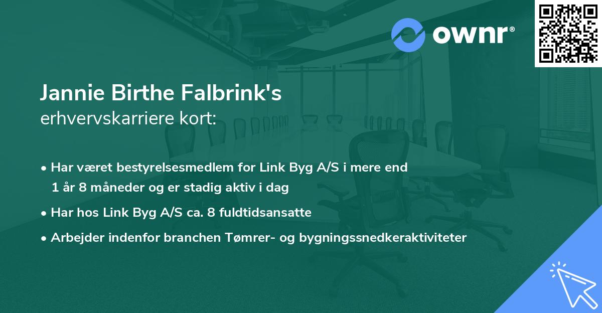 Jannie Birthe Falbrink's erhvervskarriere kort