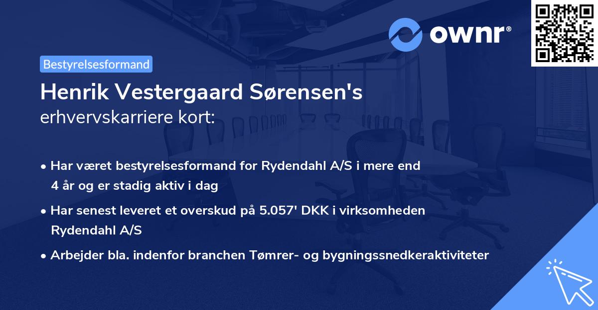 Henrik Vestergaard Sørensen's erhvervskarriere kort