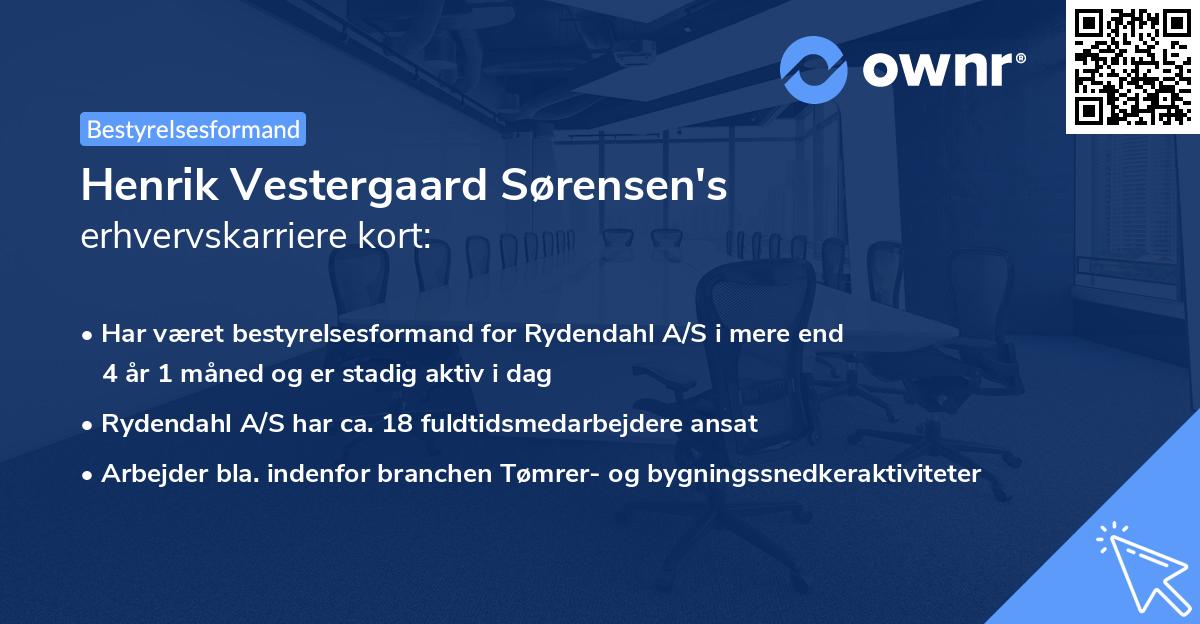 Henrik Vestergaard Sørensen's erhvervskarriere kort