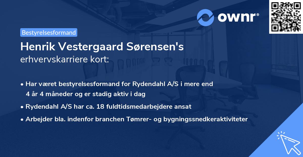 Henrik Vestergaard Sørensen's erhvervskarriere kort