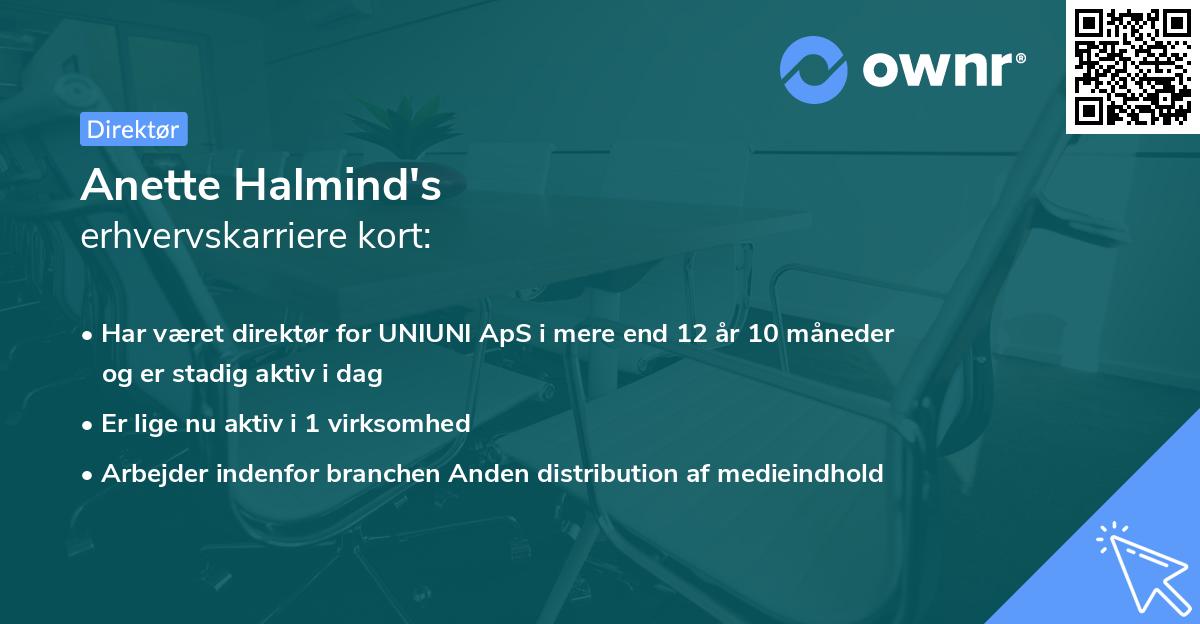 Anette Halmind's erhvervskarriere kort