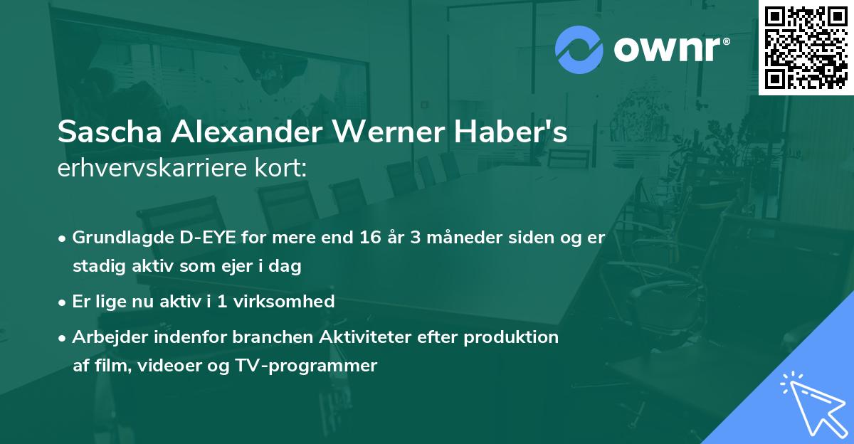 Sascha Alexander Werner Haber's erhvervskarriere kort