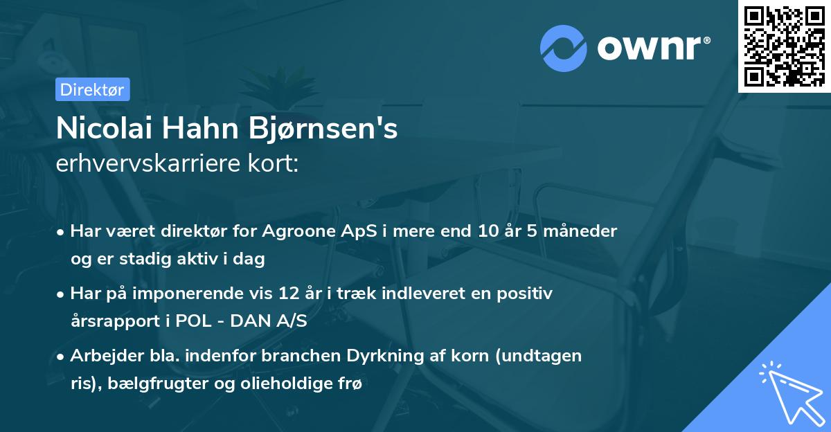 Nicolai Hahn Bjørnsen's erhvervskarriere kort